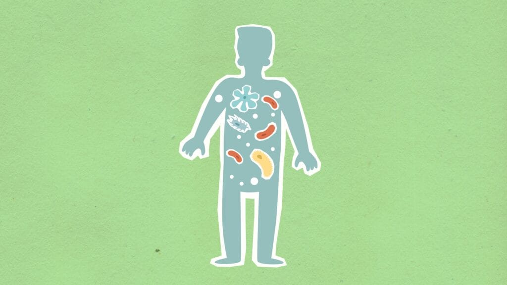From above of cutout cardboard illustration of person with different bacteria spreading in body on green background